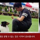 못된 강아지 이미지