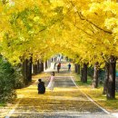 의동마을 이미지