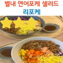 리포케
