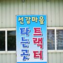 선감체험마을