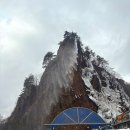 루 펜션 | 고성 [아라엔마루펜션] 바닷가 바로 앞 단체로 가기 좋은 곳 내돈내산