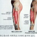 에이치코어 이미지