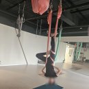목동4층약국 이미지