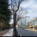 카페오후 이미지