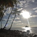 감상마트 이미지