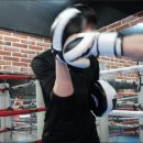 엘리트 복싱 Gym 이미지