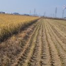 백년공인중개사사무소 이미지