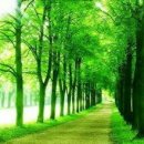 치유명상 심리상담연구소 이미지