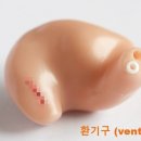 프라임보청기 이미지