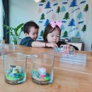 카페세린