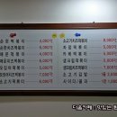 미미당 이미지