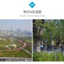 새힘