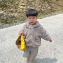 단양별마루캠핑장 네이버블로그