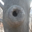 왕방폭포수농원 이미지