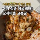 굴전마을 | 고흥굴 생굴택배 후기: 굴라면, 굴무침, 굴전 겨울 굴요리 집밥