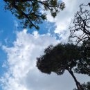 동헌농장 이미지