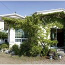 화왕산갈비마을 이미지