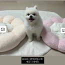 (주)누리메이트 | 포캣멍센터 오후봉사! 후기 🧸