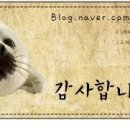밤비노퀴진 Daum카페
