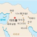 다드몰