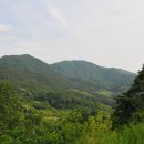 영화마을 이미지