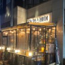 영스비어 이미지