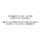 대림아크로텔세탁소 | 2023 상반기 잘산템 1편(요시다 포터/내돈 내산/맥시멀 리스트/소비내역)