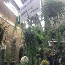 장안꽃시장 이미지