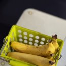 포인트당구클럽 | [안산 중앙역 포켓볼] 바나나를 주는 바나나 포켓클럽 / 주차 / 포켓볼 /당구