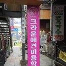 안산크라운애견미용학원