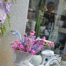 인플라워 이미지