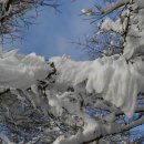 흥부골 자연휴양림 이미지