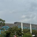 파라다이스스파도고 바베큐 엔 비어 | [파라다이스도고] 내돈내산 충남아산 파라다이스도고 캐빈파크 로우시즌 솔직후기. 아이랑여행. 스파...