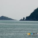 발포해수욕장 티스토리