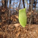 남양주시 퇴계원읍 곱돌산(216.5m)-퇴뫼산(372m)-옛성산(290m)힐링산행 이미지