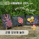 [사용설명서] 222 곤충 오브제 놀이