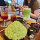 그냥찻집 | [대구 들안길 카페, 찻집 / 말차 빙수, 당고 맛집 / 내돈내산 솔직후기] 오마모리 수성