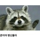 라쿤PC방 이미지