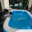 물레방아매점 | 부산 근교 청도 카페쿠시 물레방아집 아이랑 계곡, 물놀이 카페