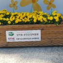 성덕동-6 이미지