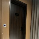 기독교문화공간멍때림 | [REVIEW] 네스타 셀리아 다낭 호텔 프리미어 더블룸 (+픽업/수영장/객실/조식)