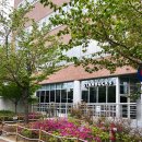 계명대로 | 스타벅스 계명대 동산병원점 위치 주차 내돈내산 후기