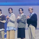 파우