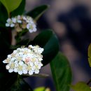 삼흥농장 이미지