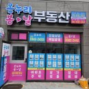 자드락민박 네이버블로그