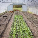 대산농장2 이미지