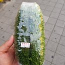 여주월드푸드