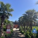 하예동-6 이미지