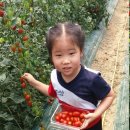 맹동농장 이미지