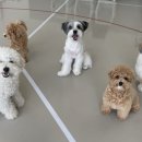 하울팟 한남점 이미지